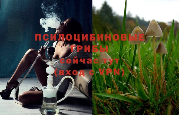 винт Алексеевка