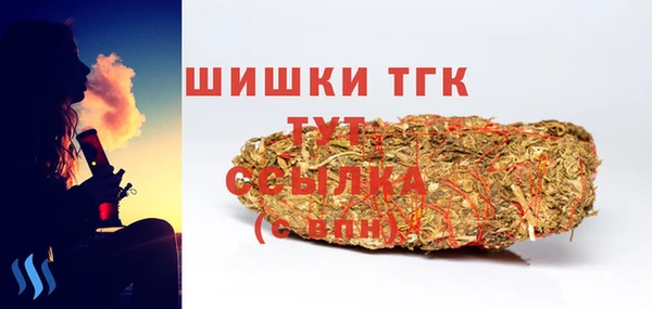 Альфа ПВП Новозыбков